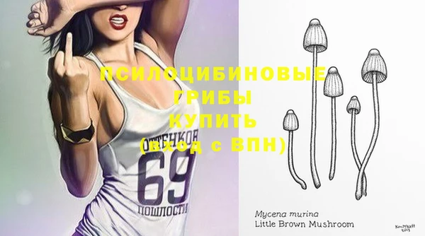 хмурый Алзамай