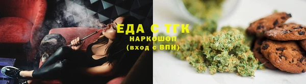 хмурый Алзамай