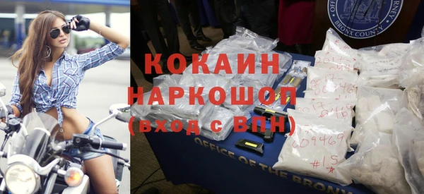 хмурый Алзамай