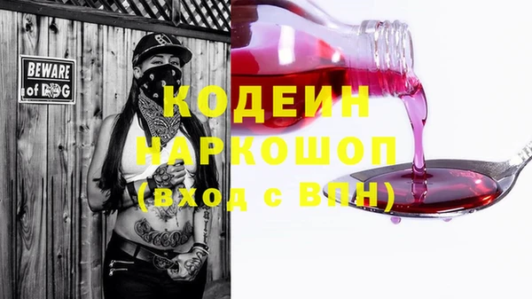 хмурый Алзамай