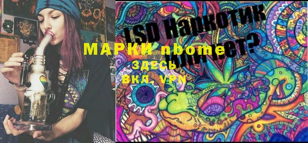 хмурый Алзамай