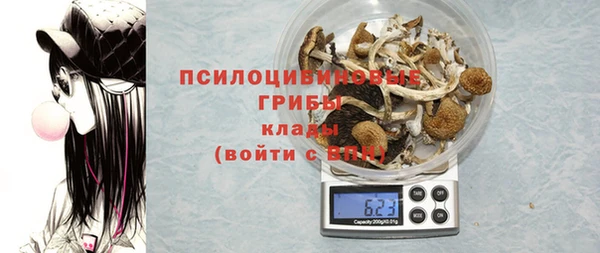 стафф Алексеевка