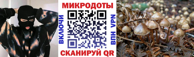 Псилоцибиновые грибы GOLDEN TEACHER наркота Переславль-Залесский