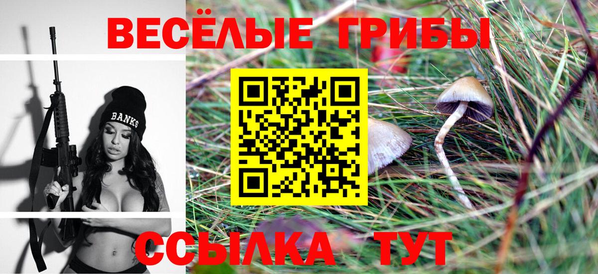 Галлюциногенные грибы Cubensis Переславль-Залесский