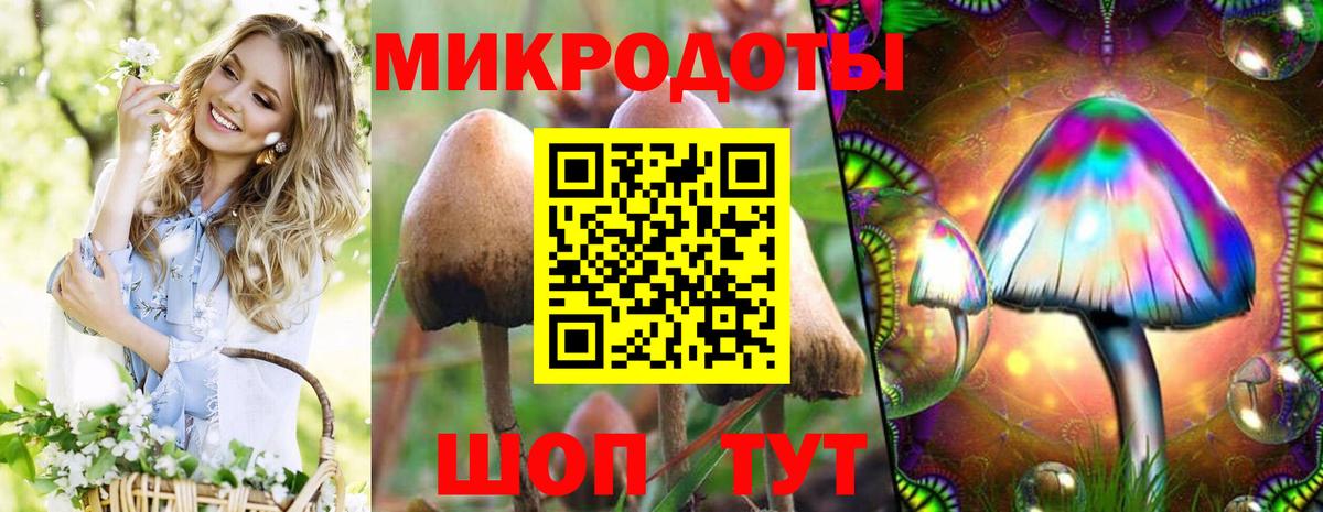 цена наркотик  Галлюциногенные грибы Cubensis  Вход с VPN  Переславль-Залесский 